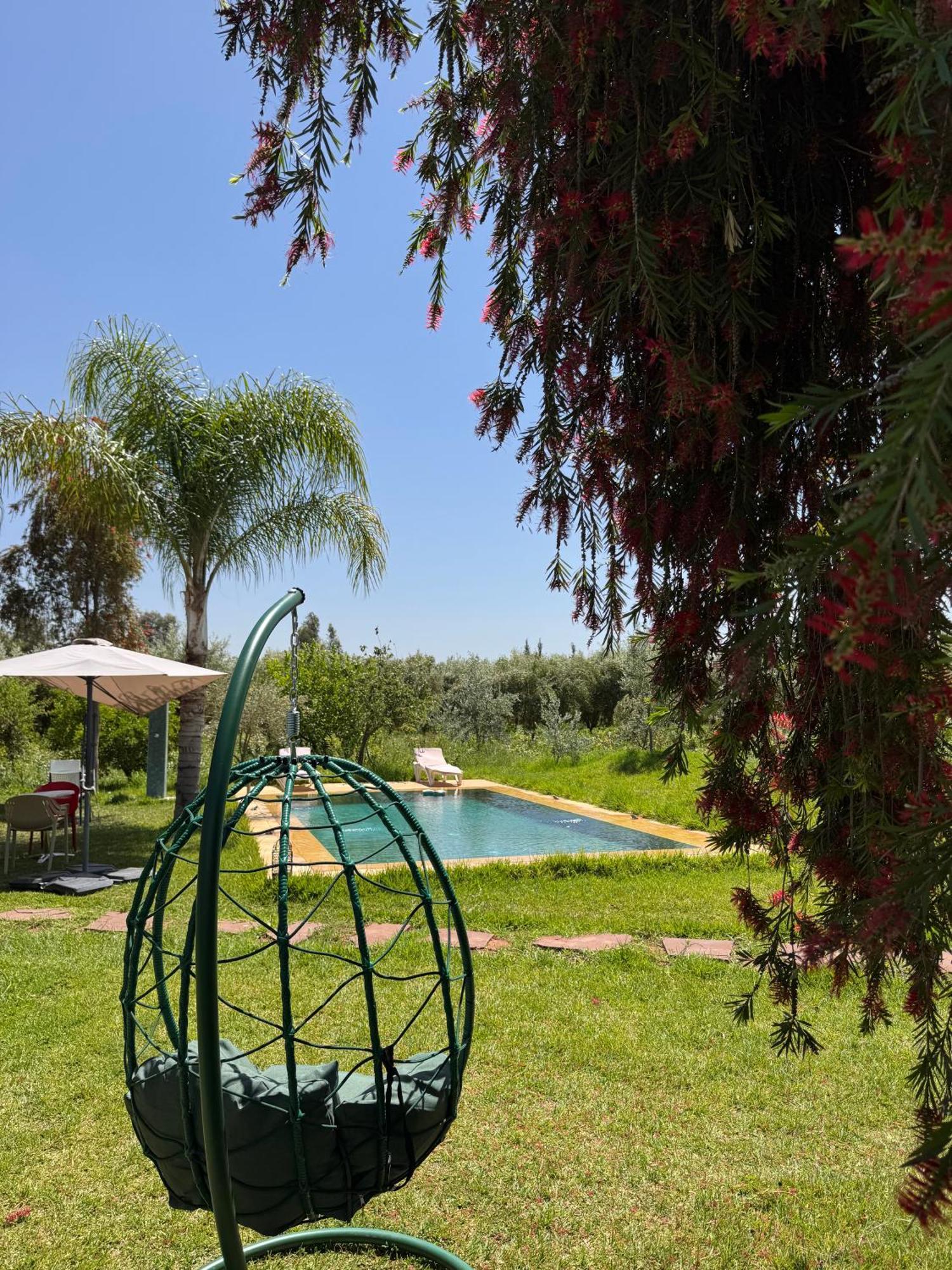 Motia's Farm